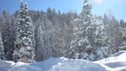 Fresh Snowfall in Steamboat